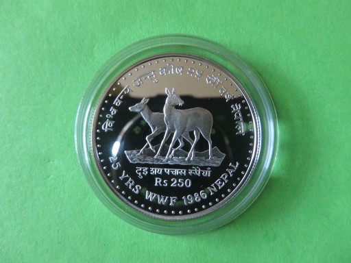 Zdjęcie oferty: NEPAL WWF 1986 250 rupees srebro 925 piżmowce