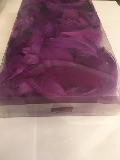 Zdjęcie oferty: Piórka dekoracyjne ciemno fioletowe 50g