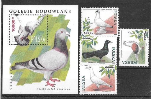 Zdjęcie oferty: 3363-3366,blok156 ,Gołębie hodowlane