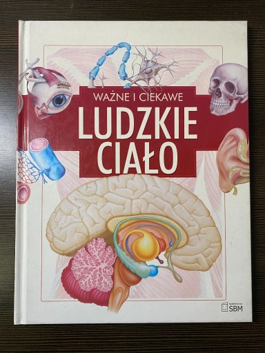 Zdjęcie oferty: Ważne i ciekawe - Ludzie Ciało