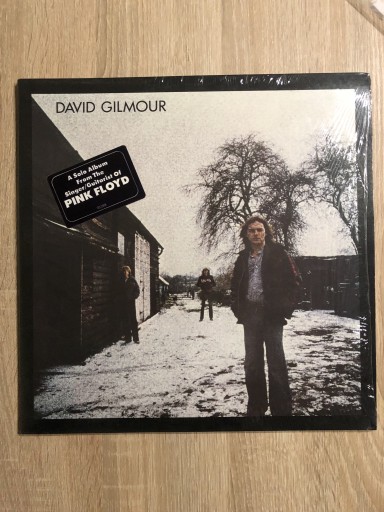 Zdjęcie oferty: David Gilmour David Gilmour USA NM-