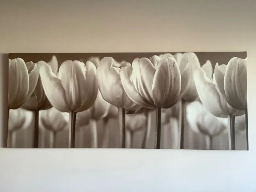 Zdjęcie oferty: Obraz Ikea Tulipany płócienny beż brąz na płótnie