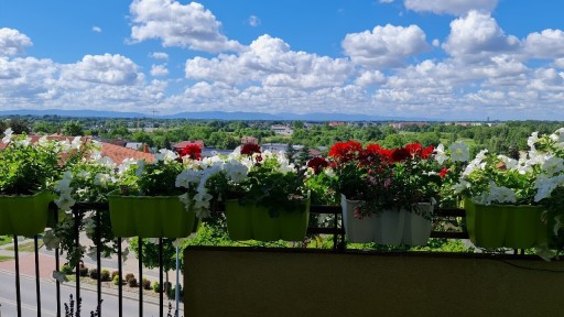 Zdjęcie oferty: Oświęcim72m2+balkon+loggia umeblowane Widok gratis