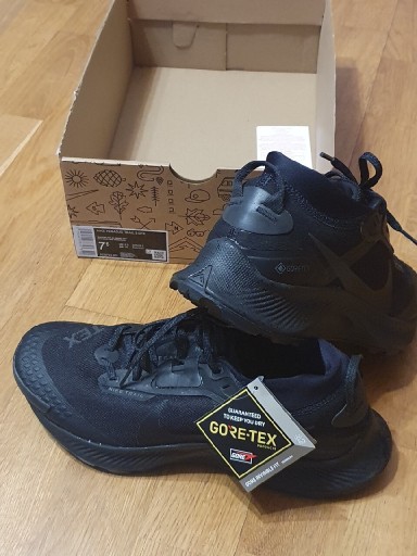 Zdjęcie oferty: Buty Nike pegasus Trial gtx roz.40,5