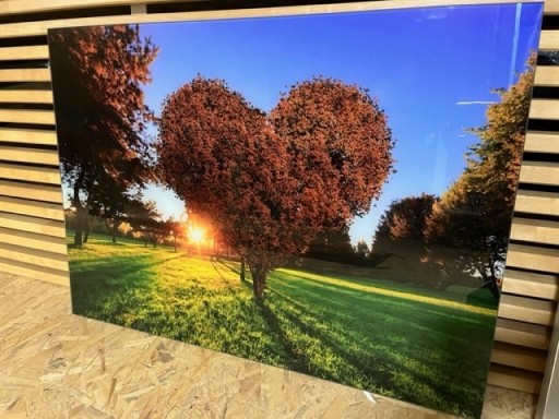 Zdjęcie oferty: Obraz na szkle Drzewo Serce 70x50 mm