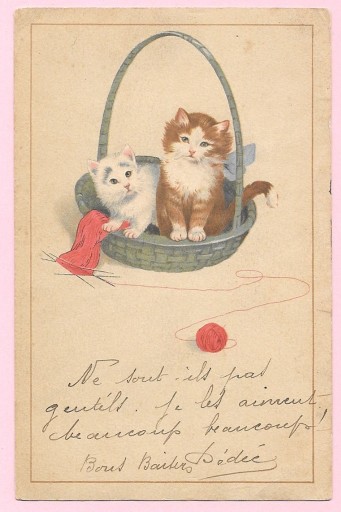Zdjęcie oferty: Dwa małe koty w wiklinowym koszyku ...