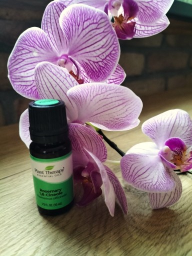 Zdjęcie oferty: Olejek rozmaryn lekarski 10ml Plant Therapy