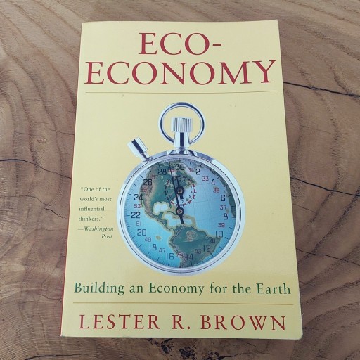 Zdjęcie oferty: Eco-Economy: Building an Economy for the Earth - Lester R. Brown