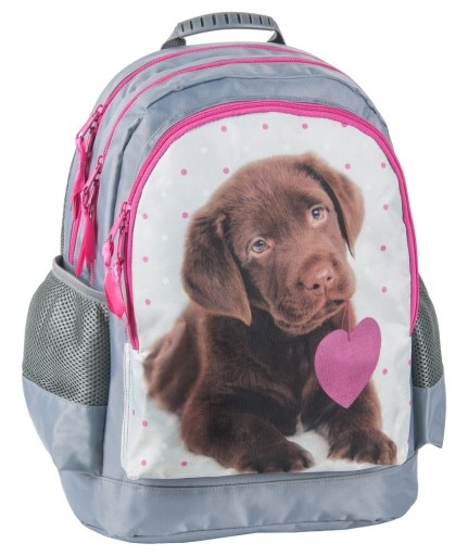 Zdjęcie oferty: Plecak szkolny z psem brązowy labrador z sercem Rachael Hale