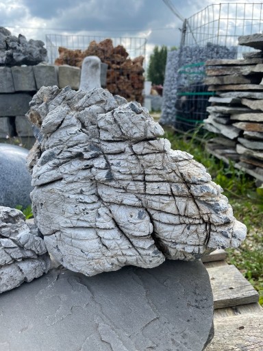 Zdjęcie oferty: ELEPHANT SKIN Kamień do Akwarium Skóra Słonia Łazy