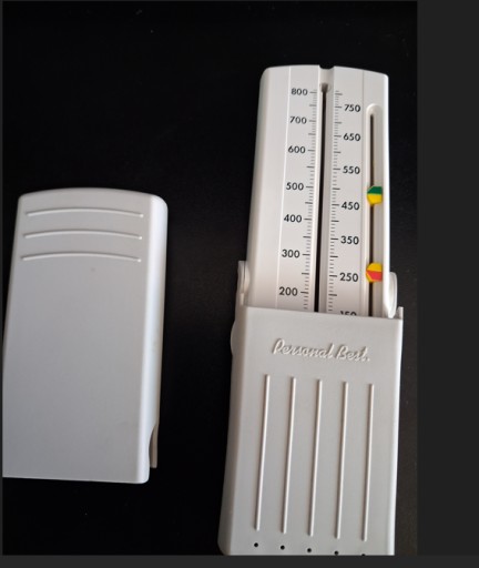 Zdjęcie oferty: Pikflometr Personal Best kontrolowanie układu oddechowego