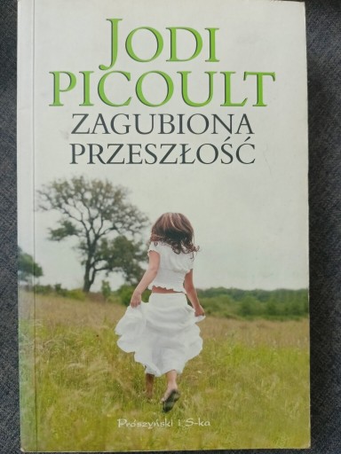 Zdjęcie oferty: Zagubiona przeszłość Jodi Picoult