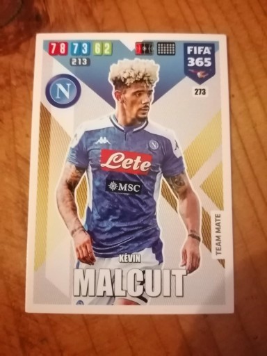 Zdjęcie oferty: karty panini fifa 365 2020 Kevin Malcuit