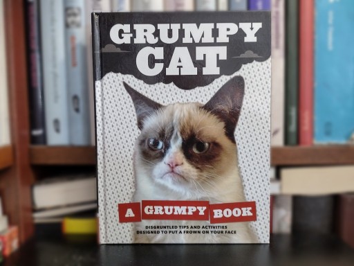 Zdjęcie oferty: Crumpy cat. A Grumpy book