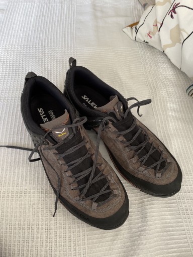 Zdjęcie oferty: Buty Salewa mtn trainer 2 rozmiar 45