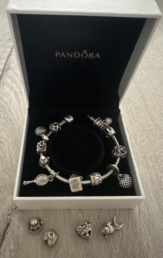 Zdjęcie oferty: Pandora -bransoletka z charmsami