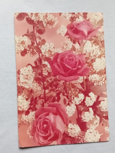 Zdjęcie oferty: Pocztówka z różami, KAW, 1974 r. 