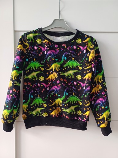 Zdjęcie oferty: Nowy sweter bluza dynozaury unisex 122 rozmiar