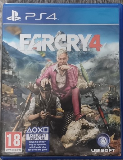 Zdjęcie oferty: Gra Far Cry 4 PS4