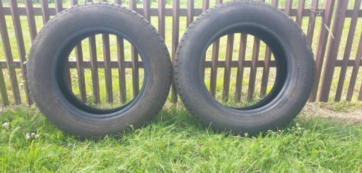 Zdjęcie oferty: Opony zimowe 195/65R 15 2024 rok Dębica