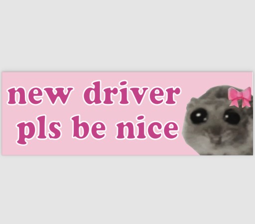 Zdjęcie oferty: Magnes new driver pls be nice