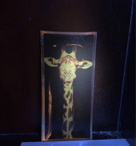 Zdjęcie oferty: zyrafa na szkle obrazek dekoracja zwierzęta 