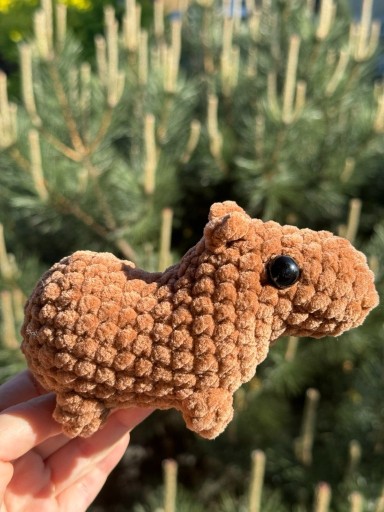 Zdjęcie oferty: Kapibara na szydełku, maskotka handmade, amigurumi