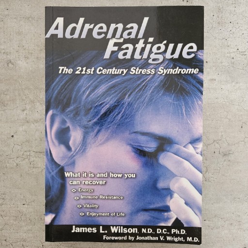 Zdjęcie oferty: Adrenal fatigue. The 21st century... Borelioza