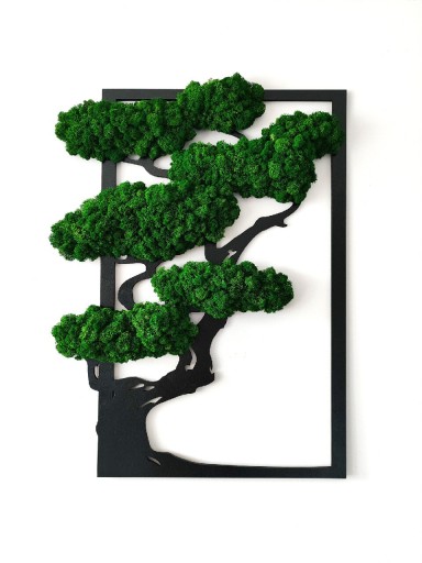 Zdjęcie oferty: Obraz z mchu, drzewko bonsai. Mech chrobotek