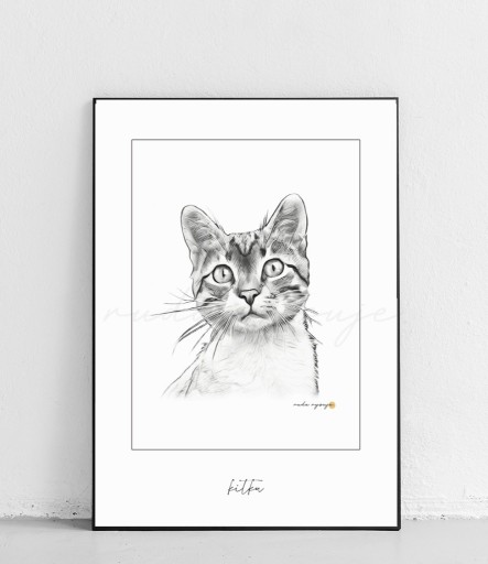 Zdjęcie oferty: Plakat z kotem w ramce kitku