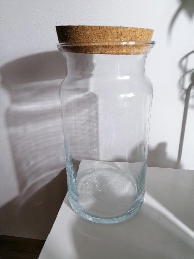 Zdjęcie oferty: Szklany słoik do stworzenia szklanego lasu