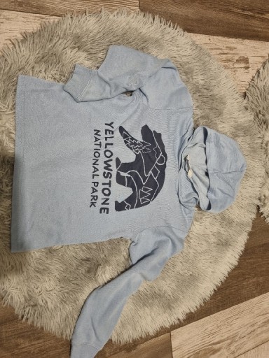 Zdjęcie oferty: Bluza h&m 122/128