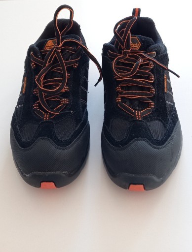 Zdjęcie oferty: Nowe buty ochronne czubki z blachą r39 EarthWorks 