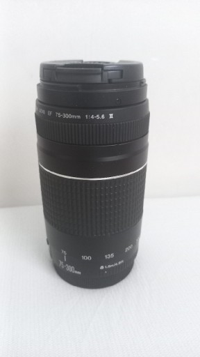 Zdjęcie oferty: Canon EF 75-300 1:4-5.6 III