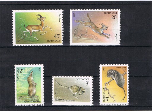 Zdjęcie oferty: ROSJA - CCCP -  znaczki Fauna 1985 r