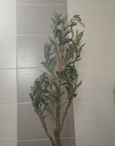 Zdjęcie oferty: Sztuczne drzewko oliwne 90