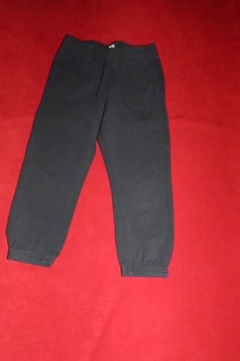 Zdjęcie oferty: Ds 110 Spodnie dziewczęce dresowe cienkie 