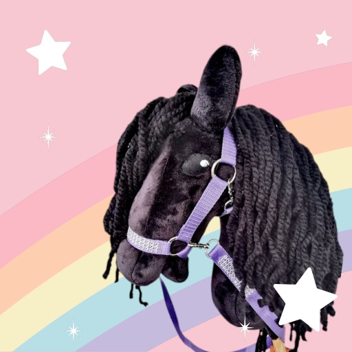 Zdjęcie oferty: Hobby Horse Konik na kijku A3 - Lady Murdoch + METRYCZKA 
