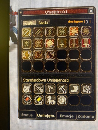 Zdjęcie oferty: Metin2009 mt2009 PRO Drop 56+55 aura P Berek g7 eq buff 