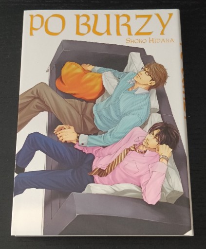 Zdjęcie oferty: Po burzy - Shoko Hidaka