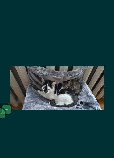 Zdjęcie oferty: Hamak, legowisko, łóżko dla kotów na grzejnik 