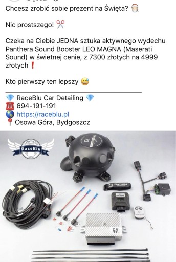 Zdjęcie oferty: PANTHERA Maxhaust Leo 5.0 aktywny wydech sound