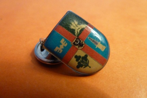 Zdjęcie oferty: Miłkowice Pow. Legnica Herb pin przypinka