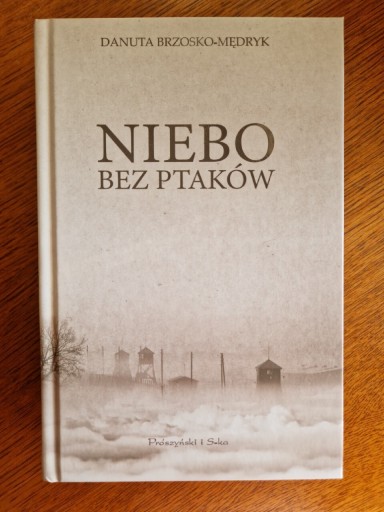 Zdjęcie oferty: Danuta Brzosko - Mędryk Niebo bez ptaków