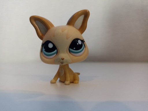 Zdjęcie oferty: Littlest pet shop pies Chihuahua + dodatek 