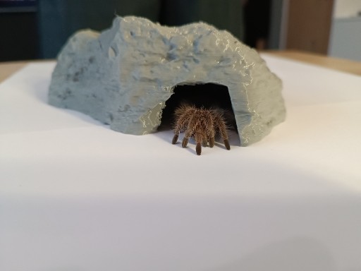 Zdjęcie oferty: Jaskinia, kryjówka dla pająka, węża, jaszczurki
