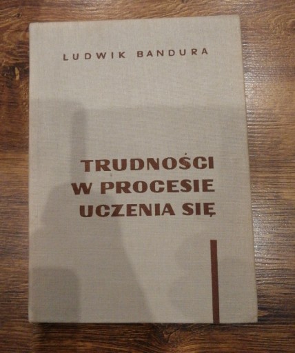 Zdjęcie oferty: Trudności w procesie uczenia się 