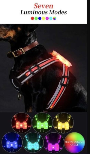 Zdjęcie oferty: Szelki LED dla psa 7 kolorów 