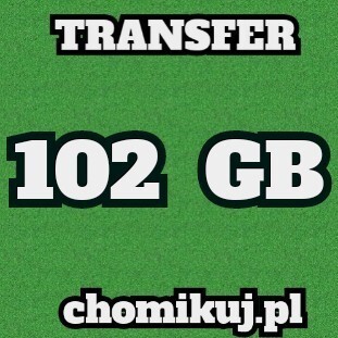 Zdjęcie oferty: Transfer 102 GB na chomikuj Bezterminowo