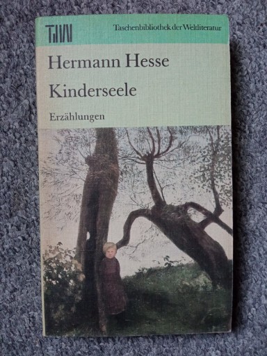 Zdjęcie oferty: Kinderseele - Hesse - niemiecki